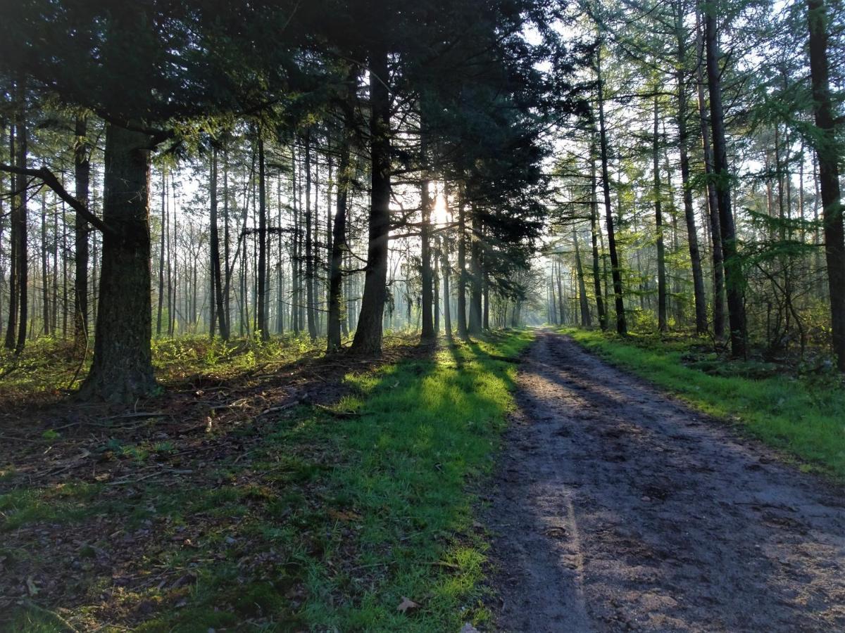 Veluwe Park Reewold Chalet Vision Putten Εξωτερικό φωτογραφία
