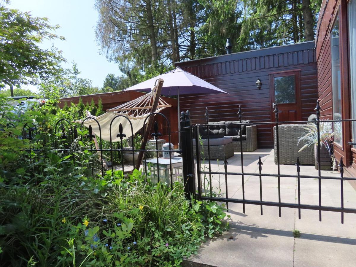 Veluwe Park Reewold Chalet Vision Putten Εξωτερικό φωτογραφία